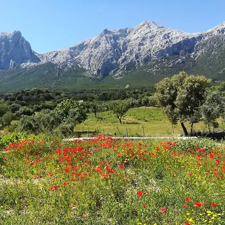 Alloggio per agriturismo Guthiddai Oliena