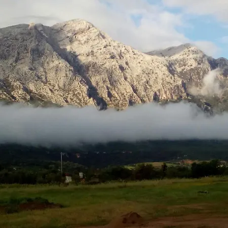 Guthiddai ファームステイ *