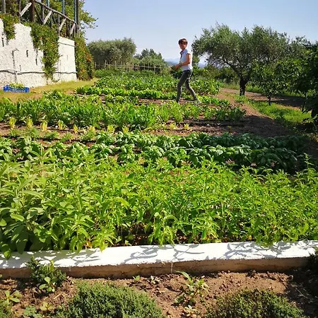 Alloggio per agriturismo Guthiddai