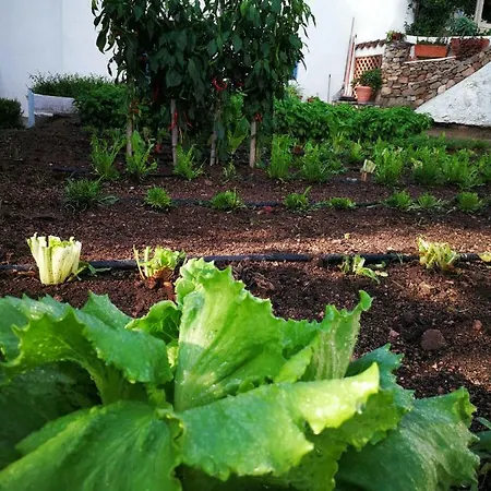 Guthiddai Farmház Oliena