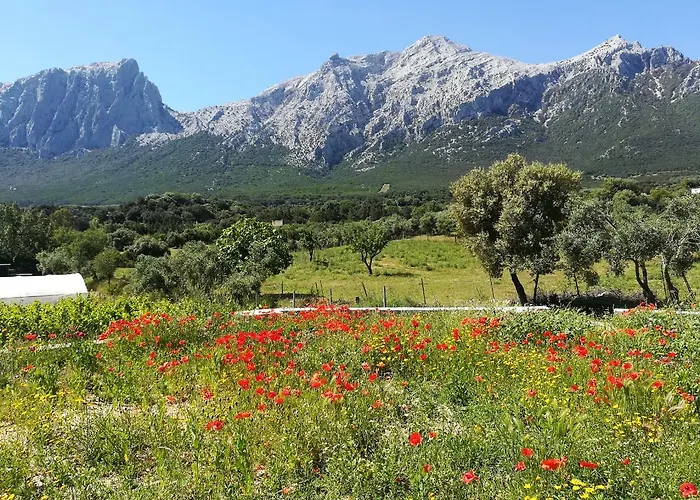 Séjour à la ferme Guthiddai Oliena
