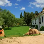 Guthiddai * أوليينا
