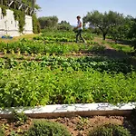مزرعة للإقامة Guthiddai