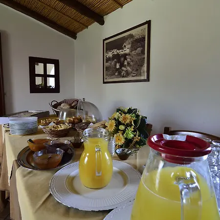 Guthiddai * אוליאנה