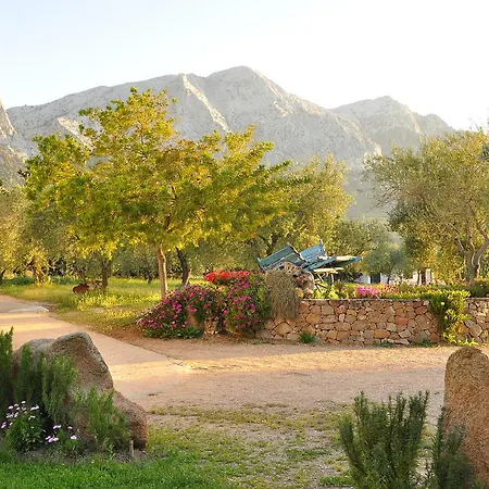 Alloggio per agriturismo Guthiddai Oliena