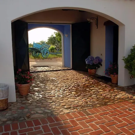 Guthiddai אוליאנה