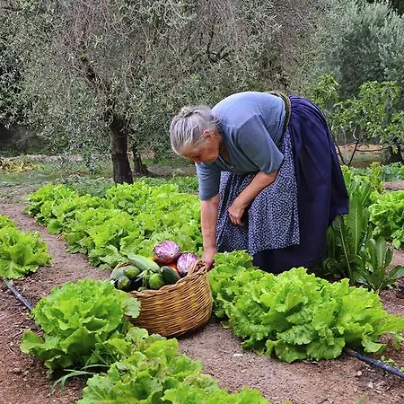 Guthiddai Alloggio per agriturismo