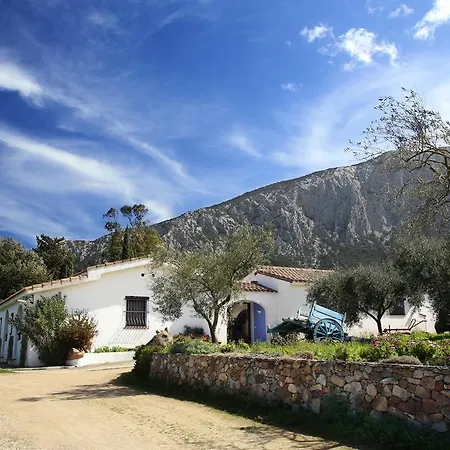 Guthiddai * אוליאנה