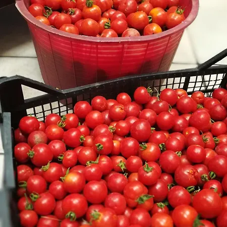 Guthiddai בית חווה אוליאנה