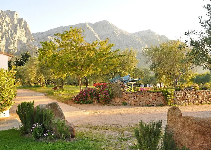 Séjour à la ferme Guthiddai Oliena