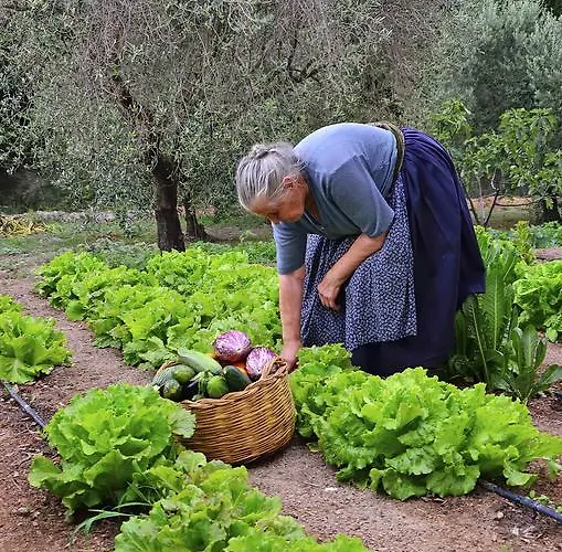 Guthiddai Séjour à la ferme