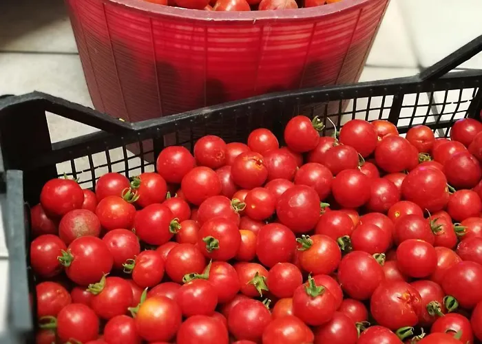 Guthiddai Séjour à la ferme Oliena