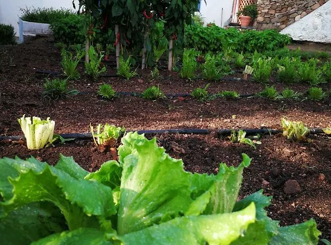 Guthiddai Séjour à la ferme Oliena